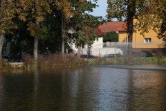 IMG_3031