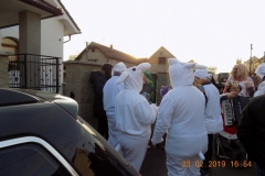 MASOPUST-2019-303