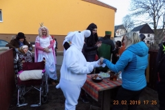 MASOPUST-2019-335