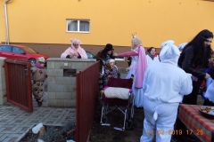 MASOPUST-2019-336