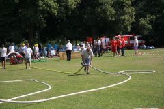 IMG_7534