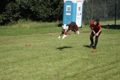 zIMG_6585-12