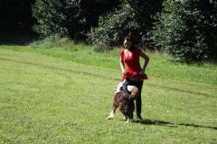 zIMG_6585-8