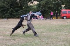 IMG_1643