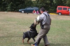 IMG_1697