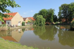IMG_3547