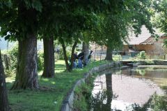 IMG_5468