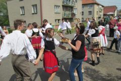 IMG_50029