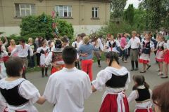 IMG_50063