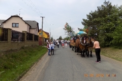 DSCN0420