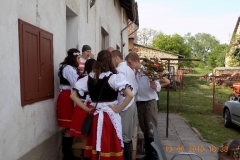 DSCN0531