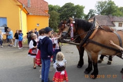 DSCN0585