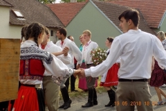 DSCN0593