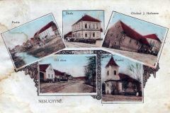 Nesuchyne11