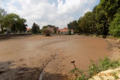 POHADKOVY-LES-2015-061