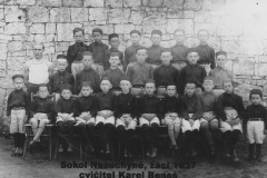NESUCHYNSKY-SOKOL-047