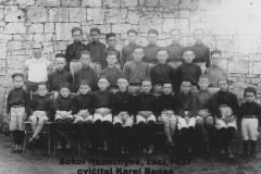 NESUCHYNSKY-SOKOL-051