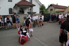 IMG_3481