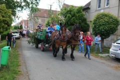 IMG_3509