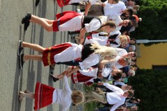 IMG_3528