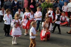 IMG_3578